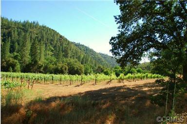 3200 San Domingo Creek Crk, Murphys, CA 95247 photo 31