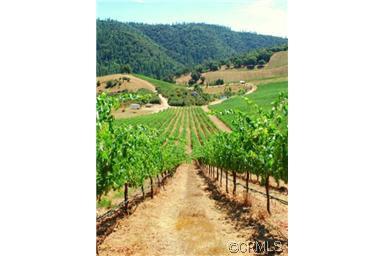 3200 San Domingo Creek Crk, Murphys, CA 95247 photo 29