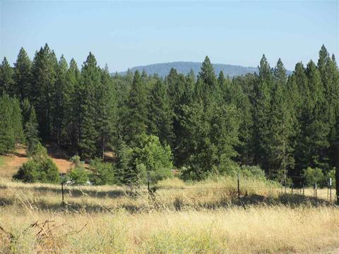 218 Winton Rd, West Point, CA 95255 photo 16