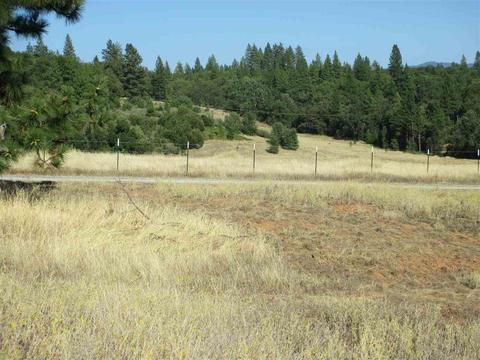 218 Winton Rd, West Point, CA 95255 photo 14