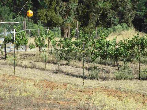 218 Winton Rd, West Point, CA 95255 photo 10