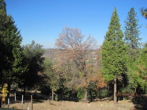 24355 Shake Ridge Rd, Volcano, CA 95689 photo 8