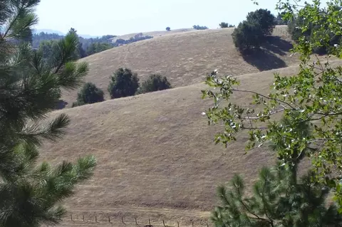 17800 Bosse Rd, Jackson, CA 95642 photo 3