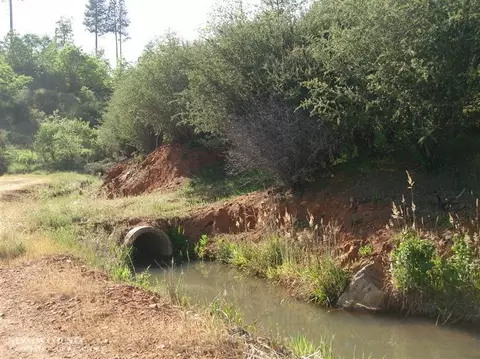 Undisclosed, Dobbins, CA 95935 photo 3