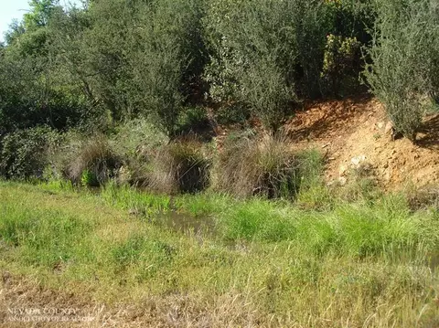 Undisclosed, Dobbins, CA 95935 photo 12