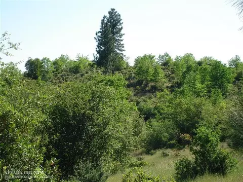 Undisclosed, Dobbins, CA 95935 photo 11