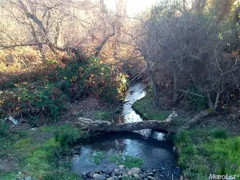 808 Bussing Ct, Folsom, CA 95630 photo 25