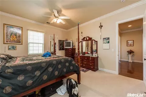 9530 Danlar Ct, Wilton, CA 95693 photo 16
