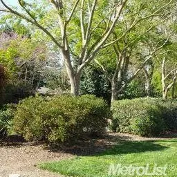 2406 Cook Ave, Modesto, CA 95358 photo 23