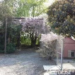2406 Cook Ave, Modesto, CA 95358 photo 22