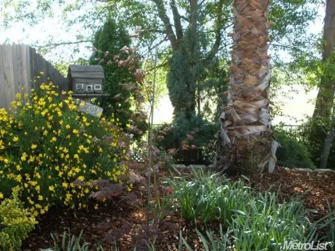 5339 Wesley Rd, Rocklin, CA 95765 photo 22