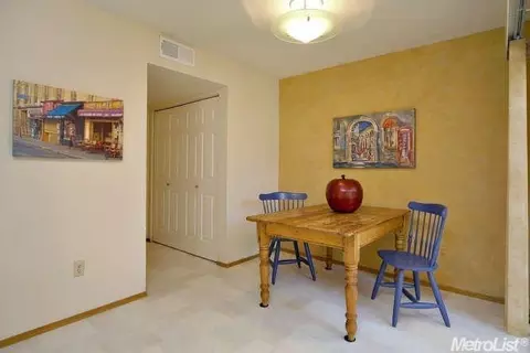 1918 Manet, Davis, CA 95616 photo 11