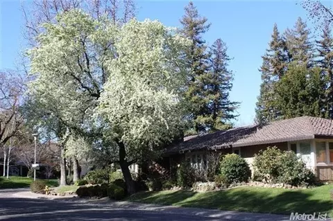 4831 Oak Vista Dr, Carmichael, CA 95608 photo 1