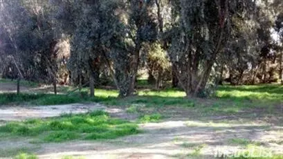 740 Bliss Rd, Ceres, CA 95307 photo 4