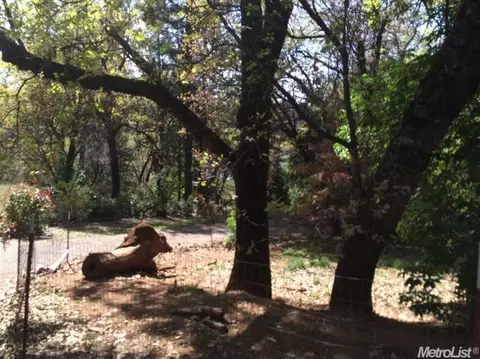 6556 Highgrade Ct, Placerville, CA 95667 photo 2