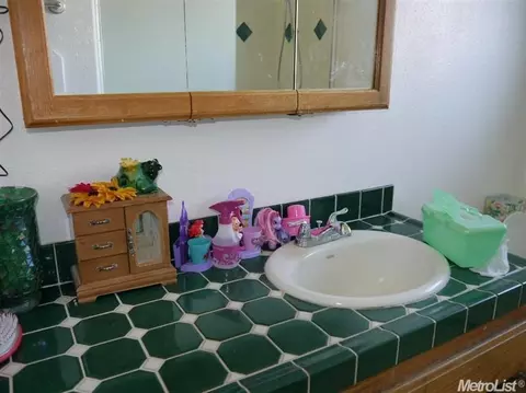 7905 El Modena Ave, Elverta, CA 95626 photo 22