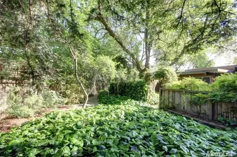 1415 Carob Pl, Davis, CA 95616 photo 16