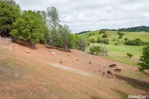 3675 Way Back Rd, Cool, CA 95614 photo 24