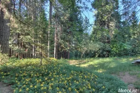 34248 E Towle Rd, Alta, CA 95701 photo 3