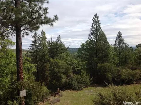 15460 Lupe Rd, Pine Grove, CA 95665 photo 4