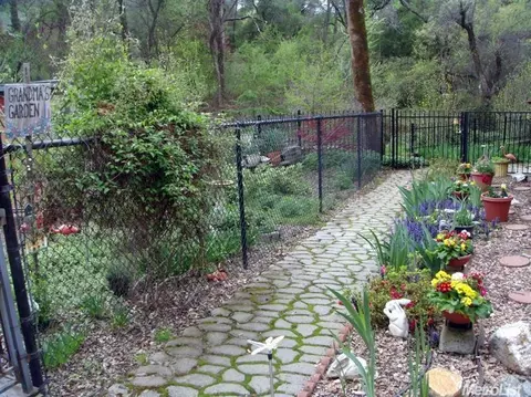 4150 Bestafa Ct, Placerville, CA 95667 photo 7