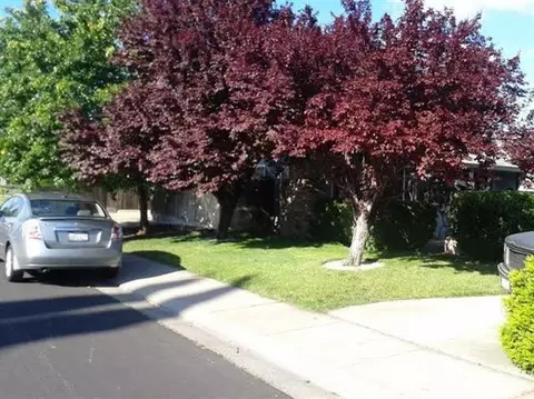 655 Helen Ct, Manteca, CA 95336 photo 3