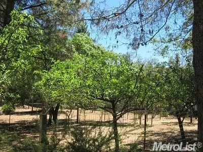 582 Jans Ln, Colfax, CA 95713 photo 15