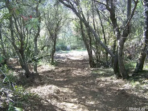 6410 Gregory Ln, Placerville, CA 95667 photo 19