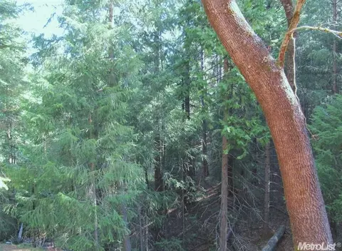 6086 Sly Park Rd, Placerville, CA 95667 photo 4