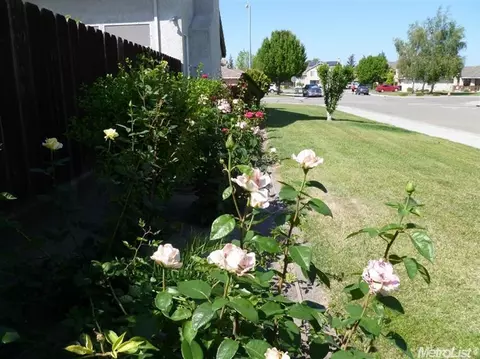 210 W Boesch Dr, Ripon, CA 95366 photo 3
