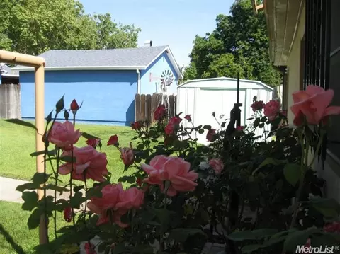 708 N School St, Lodi, CA 95240 photo 16