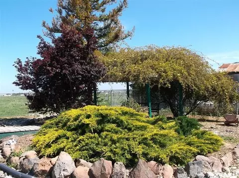 1455 Walnut Ave, Patterson, CA 95363 photo 12