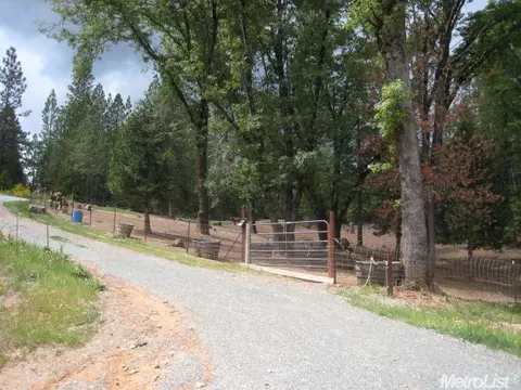 3121 Nugget Ct, Georgetown, CA 95634 photo 22