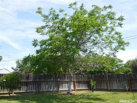 264 Grant Ct, Manteca, CA 95336 photo 7