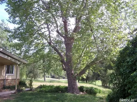 6540 Richard Ave, Placerville, CA 95667 photo 15