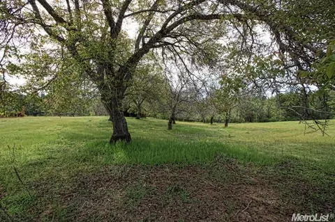 463 Centennial Mine Rd, West Point, CA 95255 photo 15