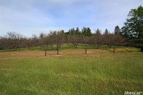 463 Centennial Mine Rd, West Point, CA 95255 photo 16