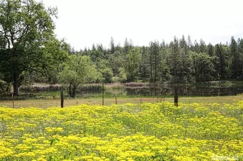 463 Centennial Mine Rd, West Point, CA 95255 photo 23