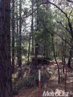 17280 Applegate Rd, Applegate, CA 95703 photo 20