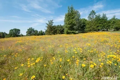 6241 Cobblestone Rd, Placerville, CA 95667 photo 22