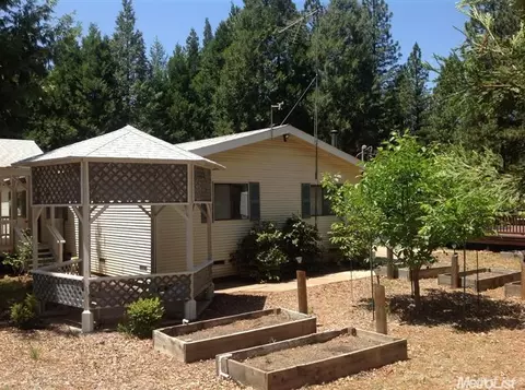 22317 Shake Ridge Rd, Volcano, CA 95689 photo 2