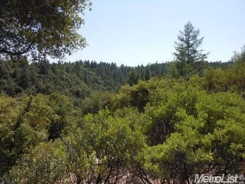 960 Maplewood Ln, Colfax, CA 95713 photo 5