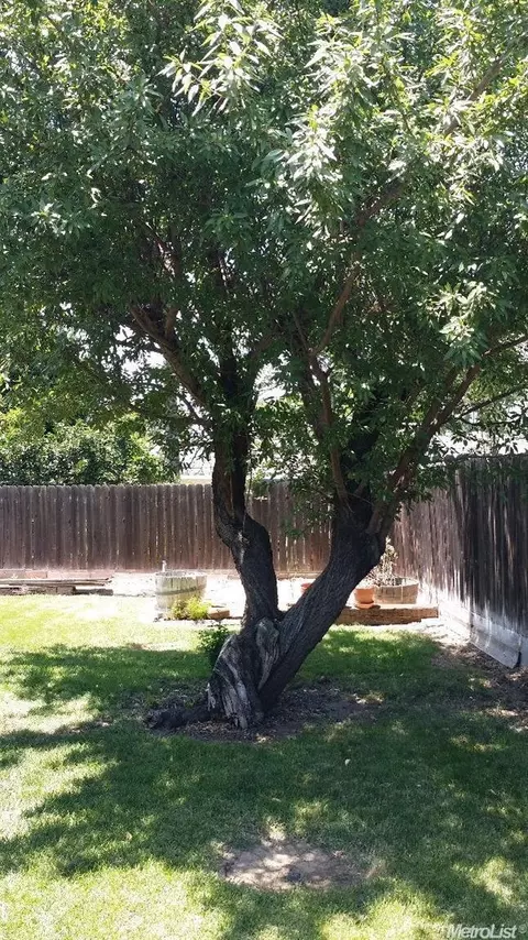 1405 Oakridge Ct, Modesto, CA 95351 photo 16