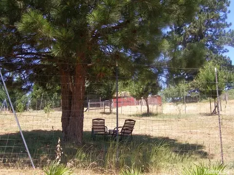 4028 Dove Ln, Placerville, CA 95667 photo 5