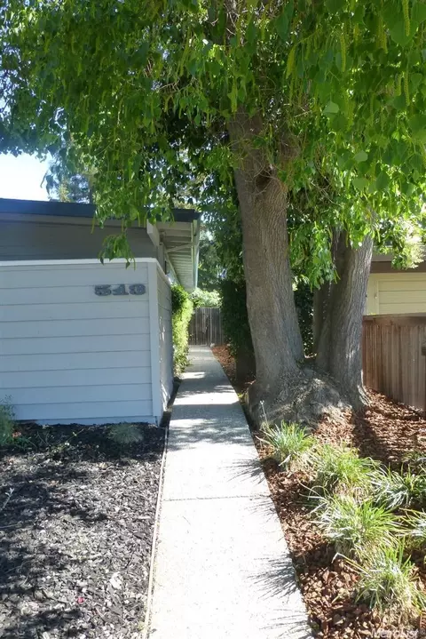 513 Isla Pl, Davis, CA 95616 photo 3