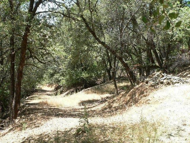 19665 Meadowood Dr, Jackson, CA 95642 photo 24