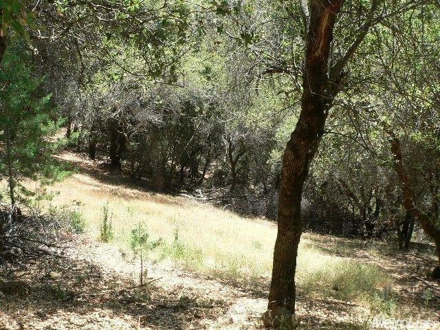 19665 Meadowood Dr, Jackson, CA 95642 photo 25