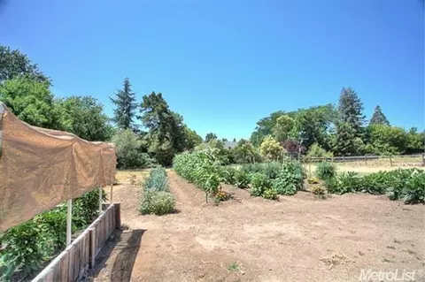 6640 Palm Ave, Carmichael, CA 95608 photo 16