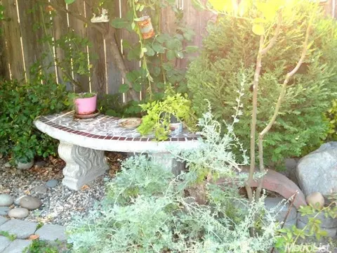 771 Boulder Ave, Lathrop, CA 95330 photo 23