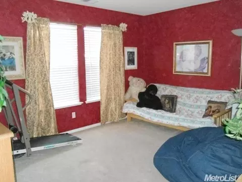 771 Boulder Ave, Lathrop, CA 95330 photo 17